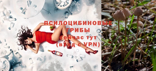 винт Алексин