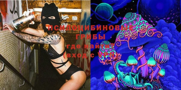 винт Алексин