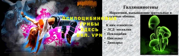 бошки Алзамай