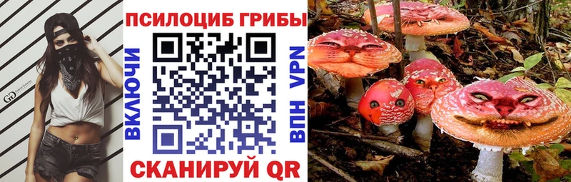 Псилоцибиновые грибы ЛСД  наркошоп  Ветлуга 